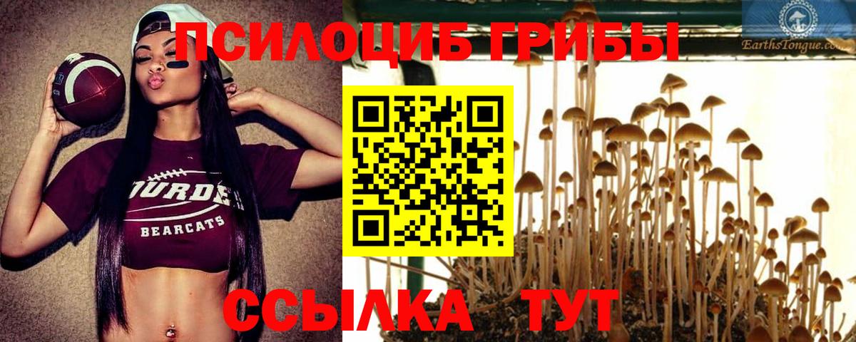 Псилоцибиновые грибы Magic Shrooms  Вход с VPN  Большой Камень 