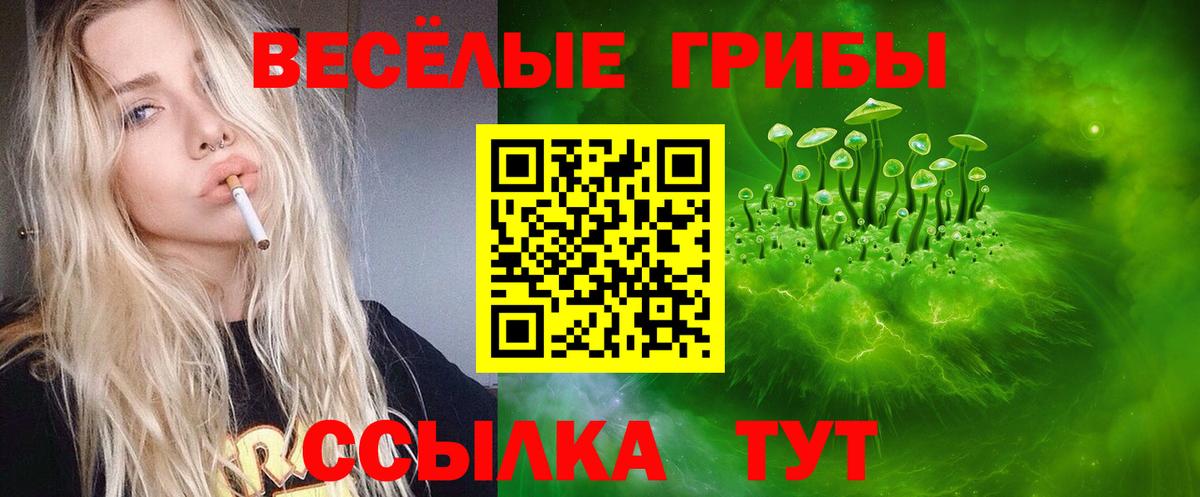 Галлюциногенные грибы Psilocybe Большой Камень